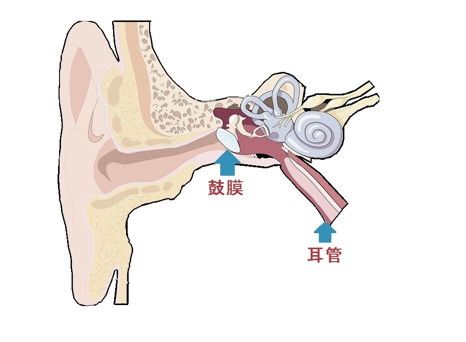 結局のところ、なぜ旅行中に耳が痛くなるのでしょうか？